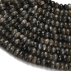 Natural Larvikite Beads Strands&nbsp;G-Z110-B19-2x4mm