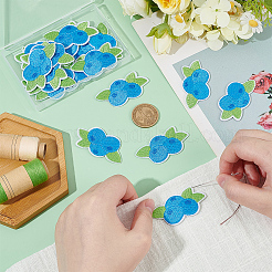 24Pcs Blueberry Computerized Embroidery Cloth Iron On/Sew On Patches&nbsp;PATC-BC0001-23