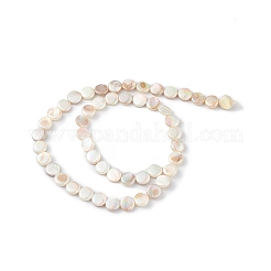 Electroplated Natural Freshwater Shell Beads Strands&nbsp;SHEL-K001-002