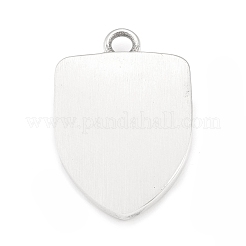 304 Stainless Steel Pendants&nbsp;STAS-G303-14AS