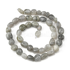 Natural Labradorite Beads Strands&nbsp;G-P623-A03-01
