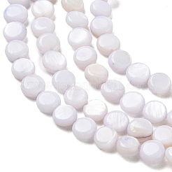 Natural Freshwater Shell Coin Beads Strands&nbsp;SH-CBACA76-17D