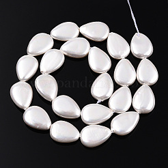Electroplate Natural Freshwater Shell Beads Strands&nbsp;SHEL-R049-026A