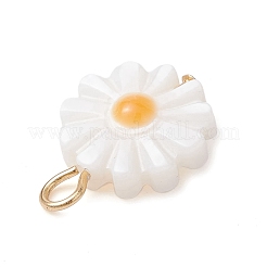 天然淡水貝の花チャーム、金メッキ304ステンレススチールループ付き  ホワイトスモーク  13.5x10x2.5mm  穴：2mm&nbsp;PALLOY-JF02444