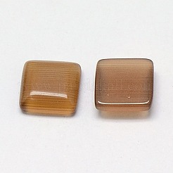 Cat Eye Cabochons&nbsp;CE-J006-10x10mm-26