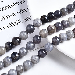 Natural Iolite Beads Strands&nbsp;G-N328-50C-01