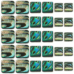 30Pcs 3 Styles Natural Paua Shell Beads&nbsp;BSHE-TA0001-37