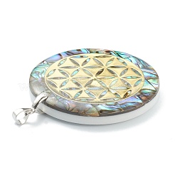 Natural Abalone Shell/Paua Shell Pendants&nbsp;SSHEL-L019-02P