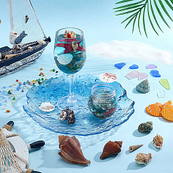 Plastic Shell & Glass  Aquarium Landscaping&nbsp;DIY-PH0035-11