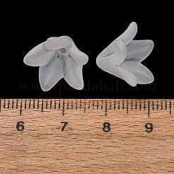 つや消しアクリルビーズキャップ  5枚の花びら  花  ホワイト  16x15x12mm  穴：1.6mm  約943個/500g&nbsp;AC-CBA1E6C-04