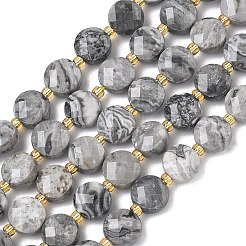 Natural Map Stone Beads Strands&nbsp;G-K389-B84-01