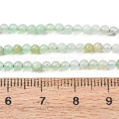 Natural Chrysoprase Beads Strands&nbsp;G-H358-A04-3mm-02