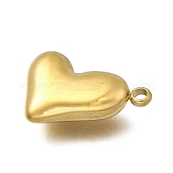 304 Stainless Steel Pendants&nbsp;STAS-Z163-18G