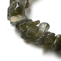 天然石ラブラドライトビーズ連売り  チップ  5~11x4~7x1~5mm  穴：1mm  80~81cm&nbsp;G-F771-B01-01