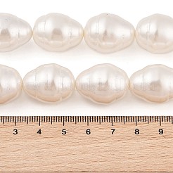 Shell Pearl Beads Strands&nbsp;BSHE-L035-A02