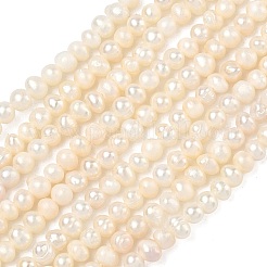 天然養殖淡水パールビーズ連売り  ポテト  グレード2 A  アンティークホワイト  3~4mm  穴：0.5mm  約100個/連  13.54''（34.4センチメートル）&nbsp;PEAR-L034-03
