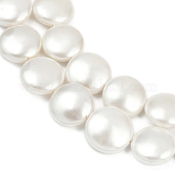 Electroplated Shell Pearl Beads Strands&nbsp;BSHE-G027-13D