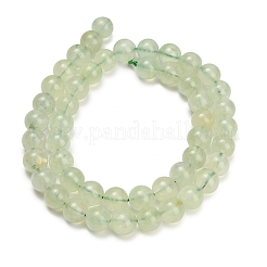 Natural Prehnite Beads Strands&nbsp;GG-CBA6F9F-8mm