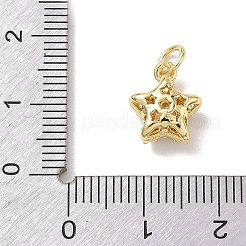 Brass Micro Pave Cubic Zirconia Charms&nbsp;KK-L268-030G-02