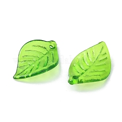 Transparent Acrylic Pendants&nbsp;TACR-YW0001-63
