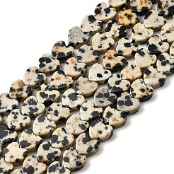 Natural Dalmatian Jasper Beads Strands&nbsp;G-A272-A01-32