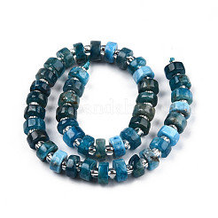 Natural Apatite Beads Strands&nbsp;G-N327-07D