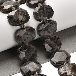 Natural Fluorescent Syenite Rock(Glow under UV Light) Beads Strands&nbsp;G-H078-B11-01