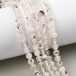 Natural Dendritic Agate Beads Strands&nbsp;G-D0005-18-6mm