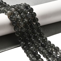Natural Biotite Beads Strands&nbsp;G-F784-A03-02
