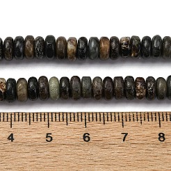 Natural Biotite Jade Beads Strands&nbsp;G-L624-H09-6x2mm