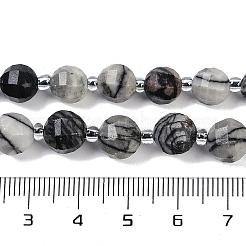 Natural Black Netstone Beads Strands&nbsp;G-G182-B32-03