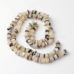 Natural Shell Rectangle Bead Strands&nbsp;BSHE-O016-08