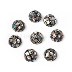 Synthetic Abalone Shell/Paua Shell Beads&nbsp;SSHEL-K001-001D