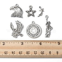 48pcs6スタイルチベットスタイルアロイペンダント  星と鷲/鷹と自由の女神:  アンティークシルバー  16~34x9.6~24.7x1.5~6mm  穴：2mm  8個/スタイル&nbsp;FIND-FS0001-49