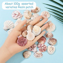 100G 2 Styles Clam Shell Beads&nbsp;SSHEL-YW0001-08
