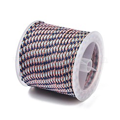 綿芯とメタリック糸を使用した11mポリエステル編み込みコード  ピンク  2.5mm  約10.0465ヤード（11m）/ロール&nbsp;OCOR-Z006-01-04