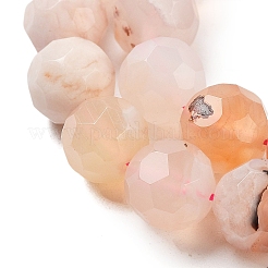 Natural Cherry Blossom Agate Beads Strands&nbsp;G-C150-B04-02