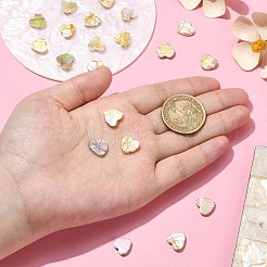 ドローベンチスタイルの天然淡水シェルビーズ 20 個  ABカラーメッキ  ハート  カラフル  10x10~10.5x3mm  穴：0.5mm&nbsp;SHEL-CJ0001-32