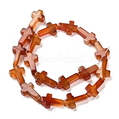 天然赤瑪瑙（染色・加熱）ビーズ連売り  クロス  14.5x11x4.5mm  穴：0.8mm  約27個/連  15.35''（39センチメートル）&nbsp;G-I337-A02-02