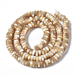 Natural Trochid Shell/Trochus Shell Beads Strands&nbsp;SSHEL-S266-019B-02