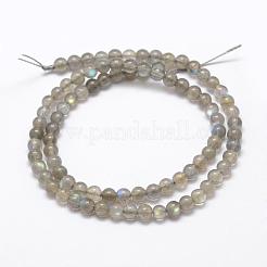 Natural Labradorite Beads Strands&nbsp;G-K209-04D-4mm