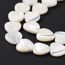 Natural Trochus Shell Beads Strands&nbsp;SSHEL-H070-06D