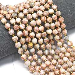 Natural Red Netstone Beads Strands&nbsp;G-K389-E17-01