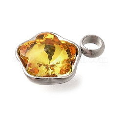 304 Stainless Steel Pendants&nbsp;STAS-Q346-02P-07