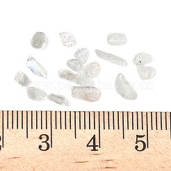 天然石ラブラドライトビーズ  チップ  穴がないビーズ  3~5x2~3x1~2mm&nbsp;G-I383-01