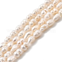 Natural Cultured Freshwater Pearl Beads Strands&nbsp;PEAR-I007-01M-01A