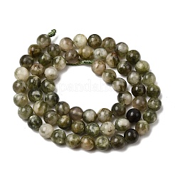 Natural Green Lepidolite Beads Strands&nbsp;G-K350-B01-6mm