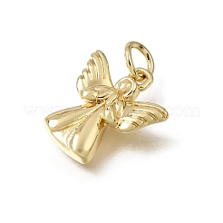 Brass Charms&nbsp;KK-L276-03G