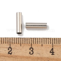 真鍮製チューブビーズ  カドミウムフリー＆鉛フリー  プラチナ  10x2.5mm  穴：2.5mm&nbsp;KK-B120-03F-P