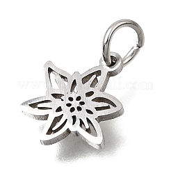 304 Stainless Steel Charms&nbsp;SA-CBA4CE0-01P-K